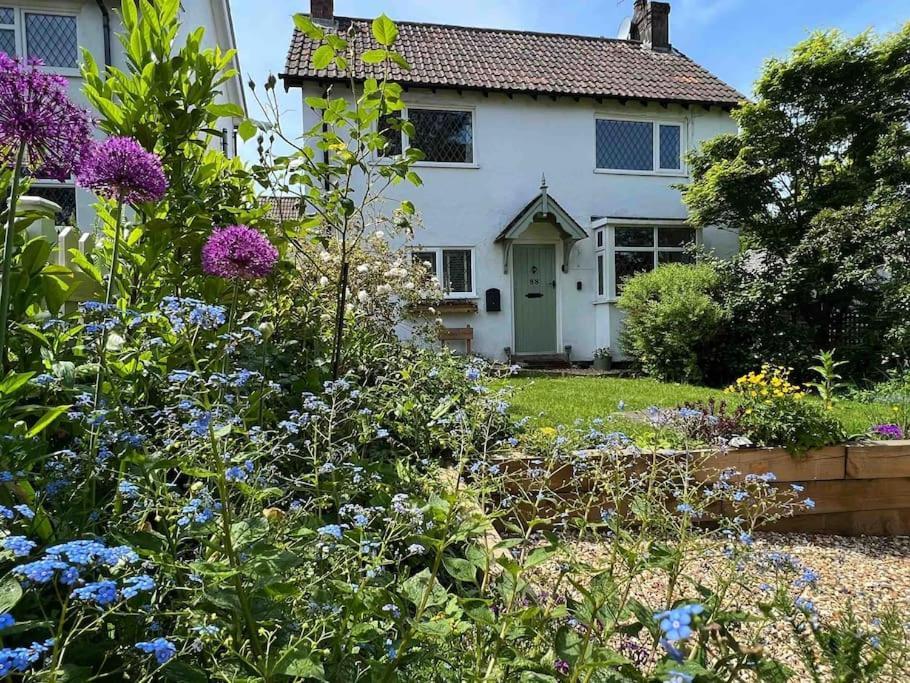 Charming Hedgehog With Ev Charger Holiday home *